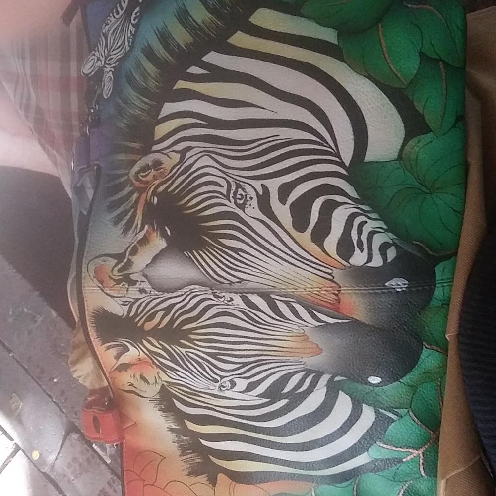 Anuschka purse